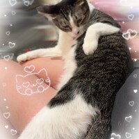 しゅしゅしゅ‼️