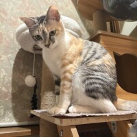 しゅっきんきん❣️