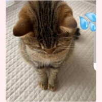 すみません??♀?