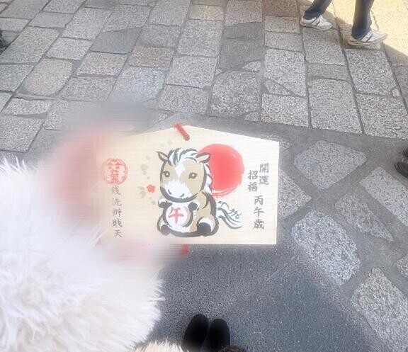 冬眠から目覚めました??