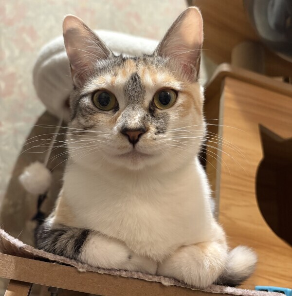 あっりがと❣️