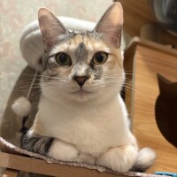 あっりがと❣️