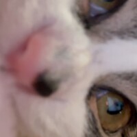 ありがとーーう