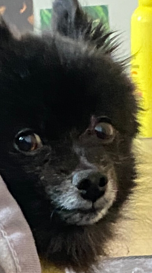 バレンタイン来るって