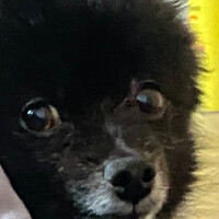 バレンタイン来るって