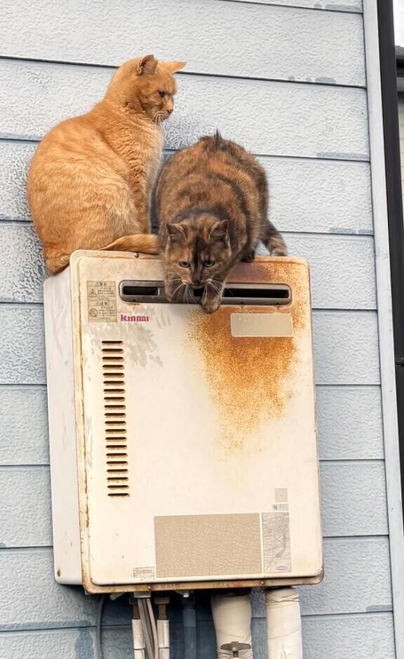 本日と明日出勤しております♪