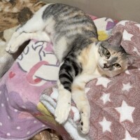 まってるっ🥺❣️