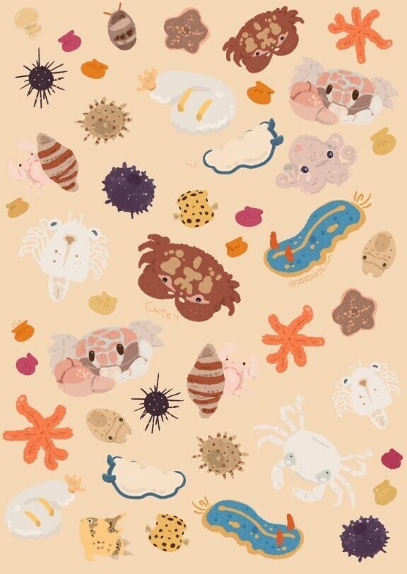 3/2日のお礼日記