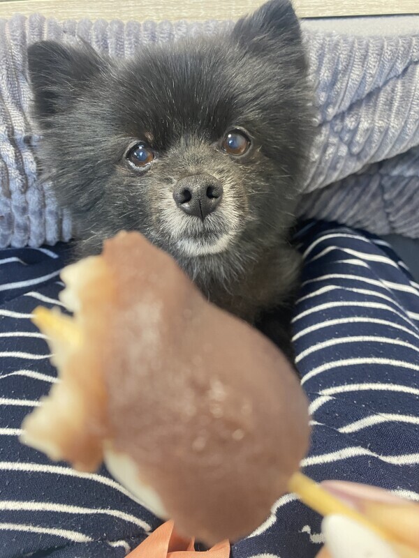 明日泊まるよーん