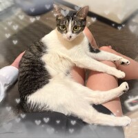 明日もいます💖