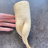 もじもじ