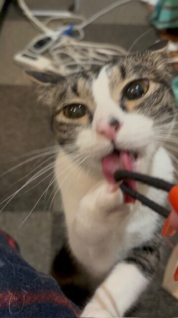 image0.jpeg