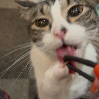 今日もありがとう🤭