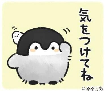 注意〜😖