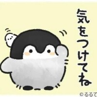 かおりこ