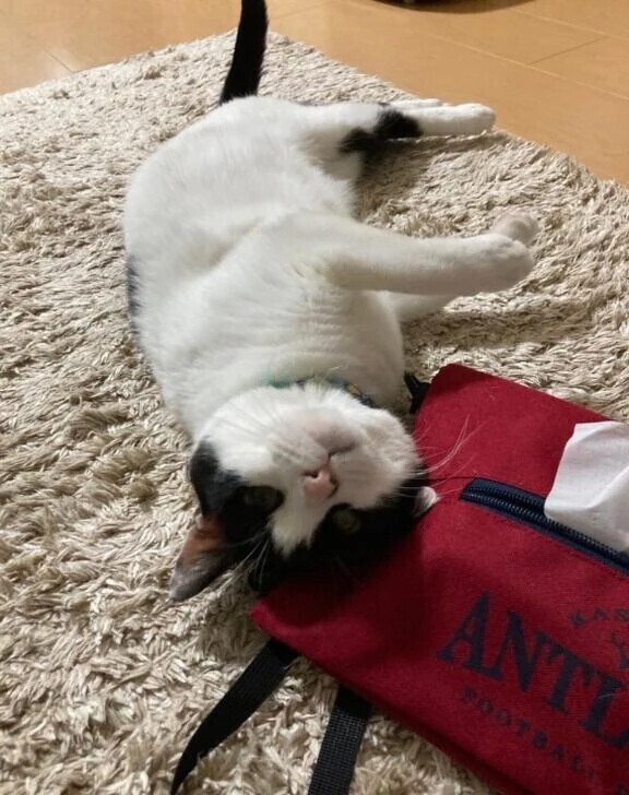 ねむーい！