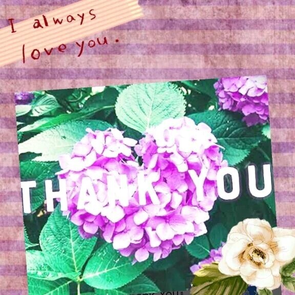 本日のお礼です💌