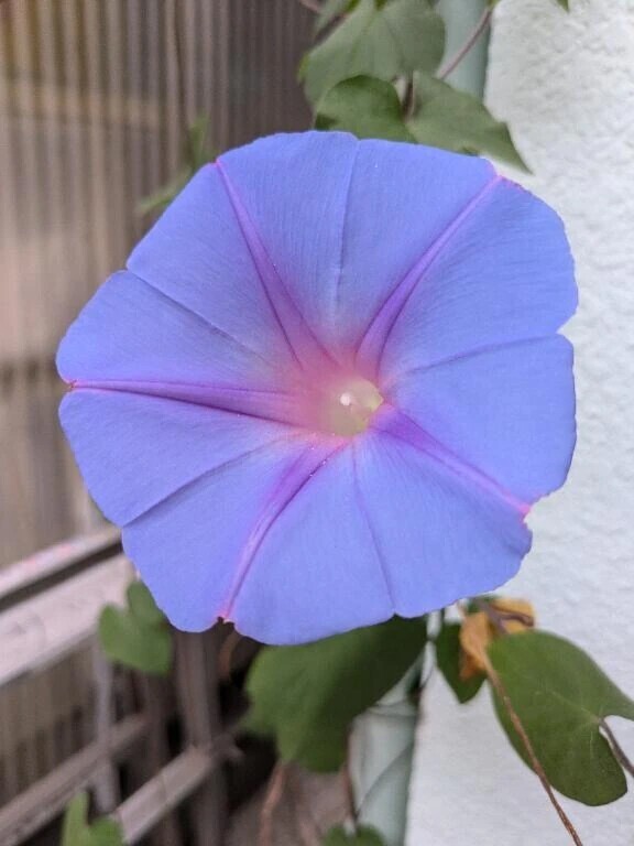 はじめまして(*^^*)