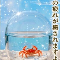 あいこ