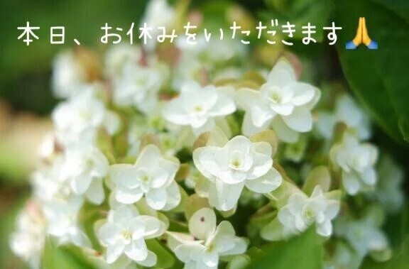本日、お休みをいただきます