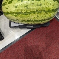 しずく