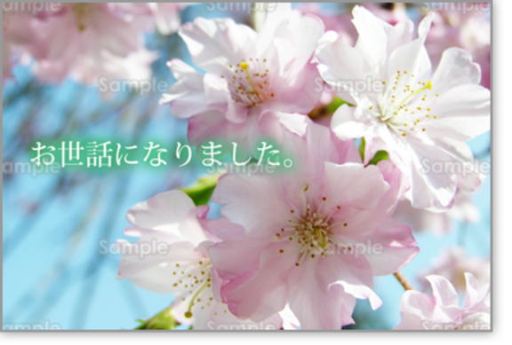 ありがとうございました♪