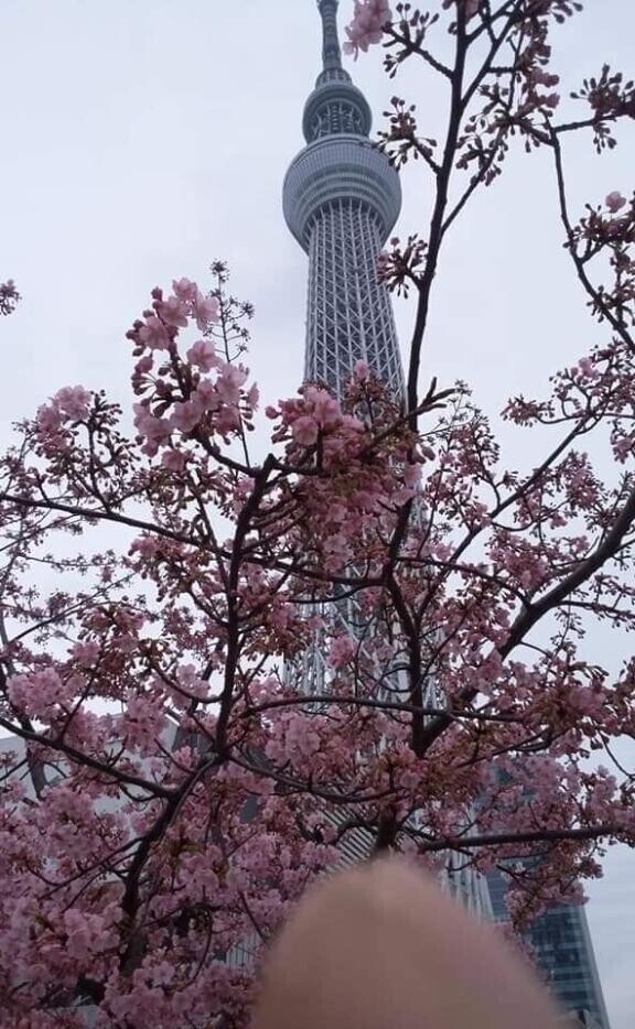 【お礼写メ日記】いくのいっぷすさま