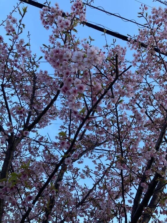 お礼とつぶやき