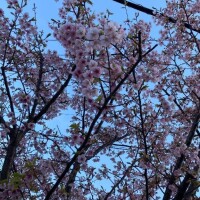 うた