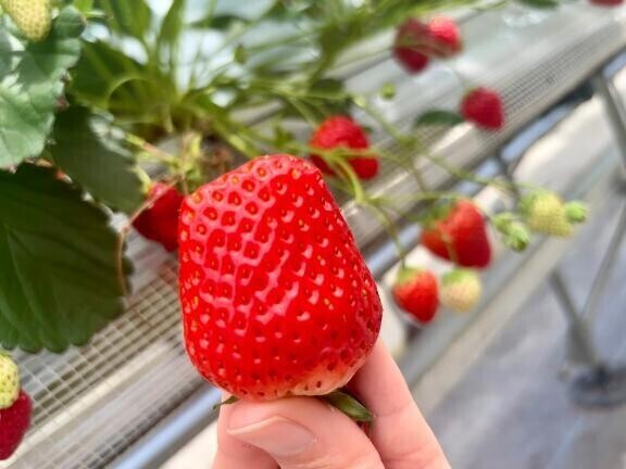 お出掛けしてた〜