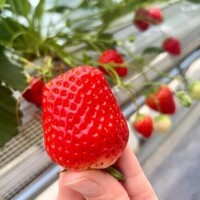 ちぐさ