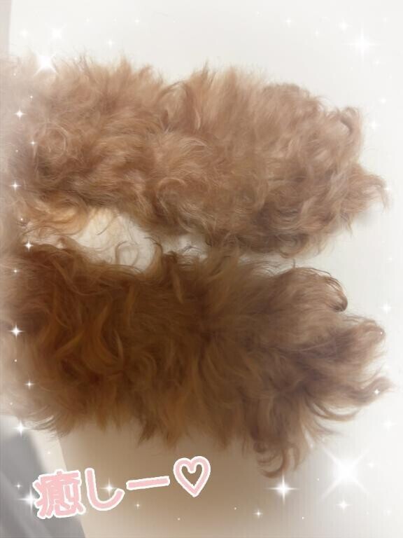 癒し