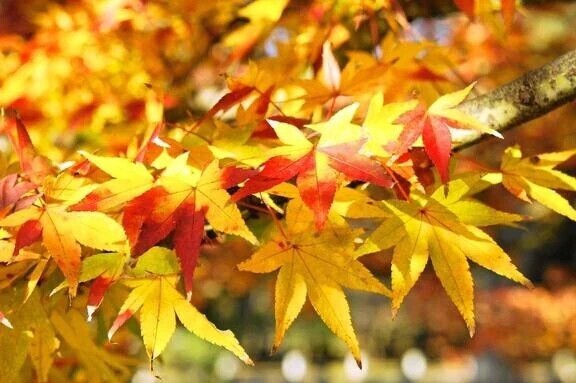 明日のご予約♪