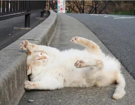 対等な関係でいたいの