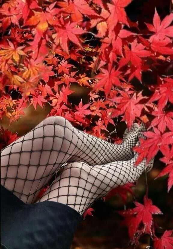 やりたい人いる？