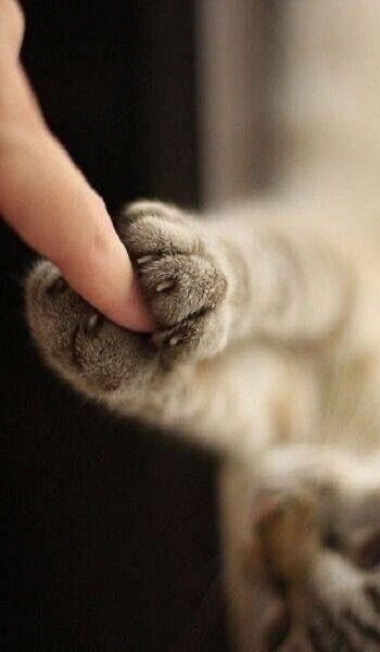 お疲れ様でした^_^