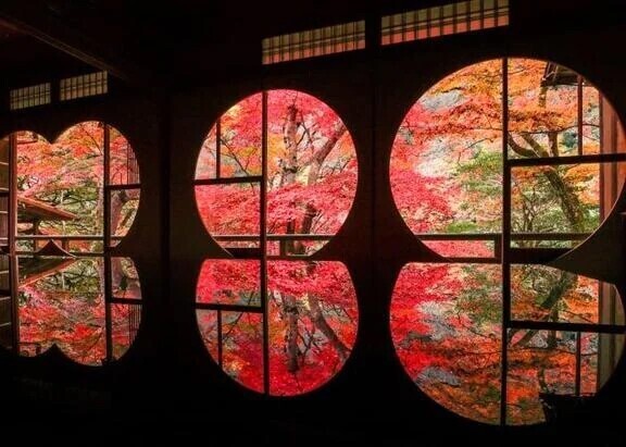 本日のご予約♪