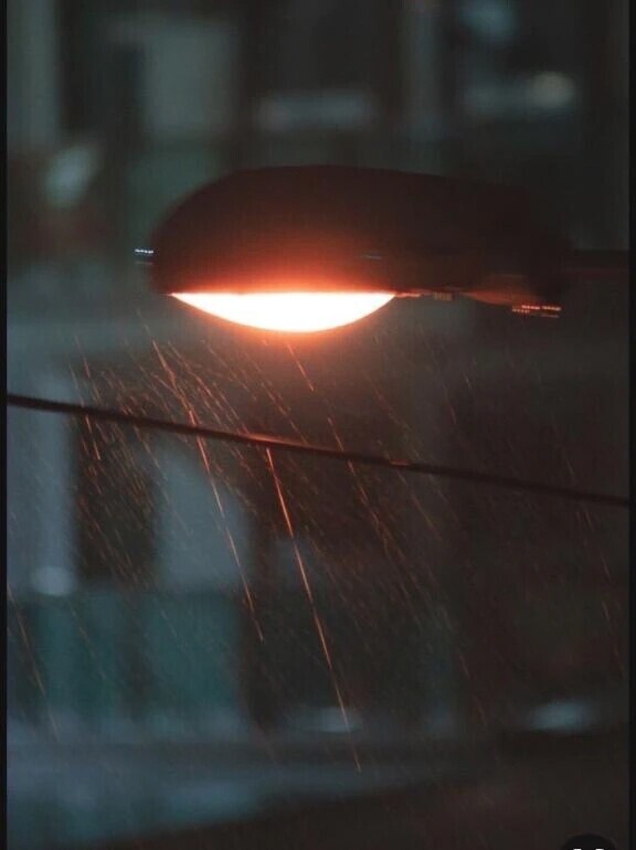 お疲れ様でした^_^