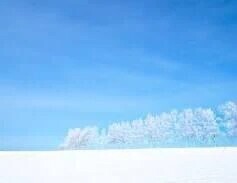 お疲れ様です^_^