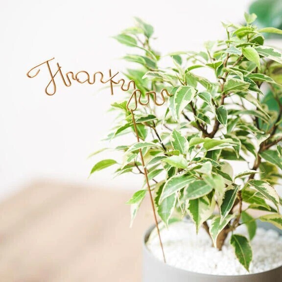 ありがとうございました♪