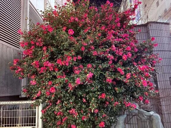 ありがとうございました💛