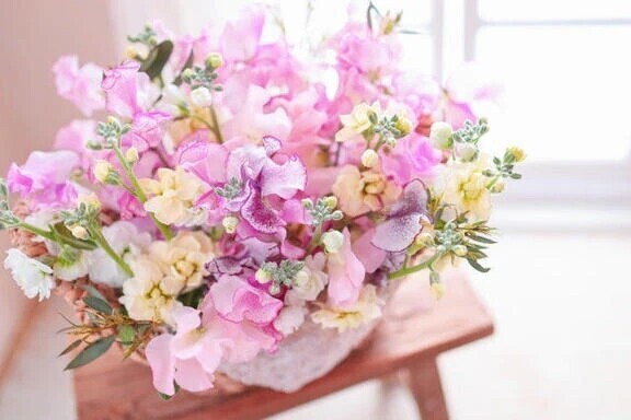 明日のご予約♪