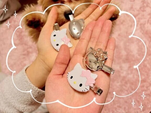 ほどなく、お別れです🎬