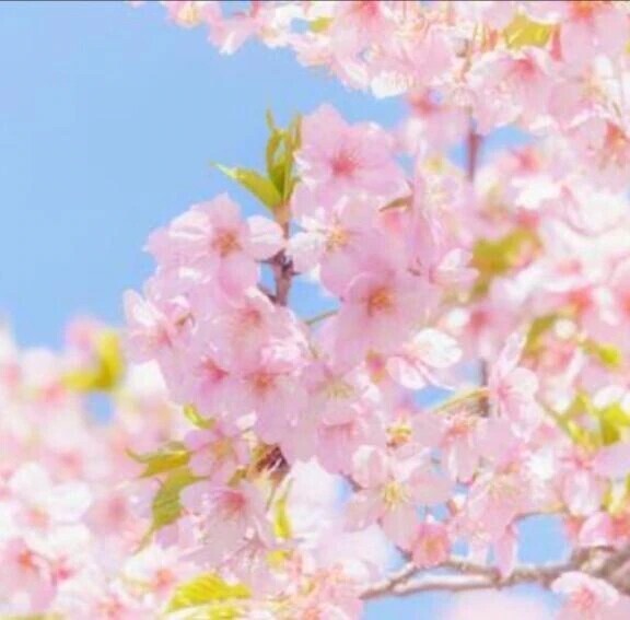 暖かくなってきましたね♪