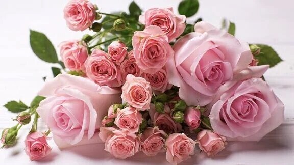 明日のご予約♪