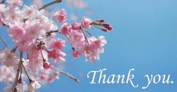 ありがとうございました♪