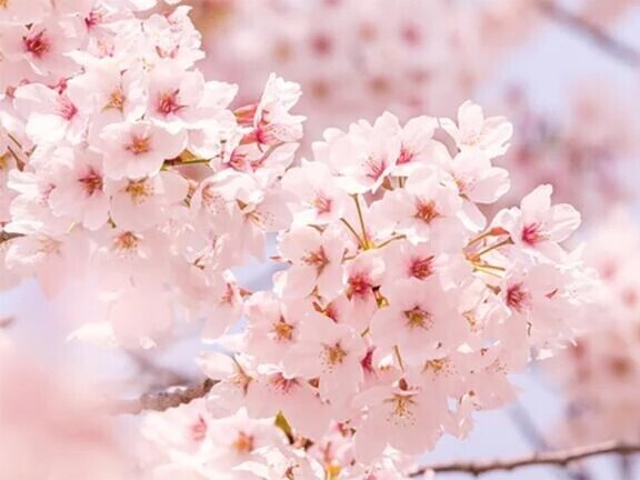 明日のご予約♪