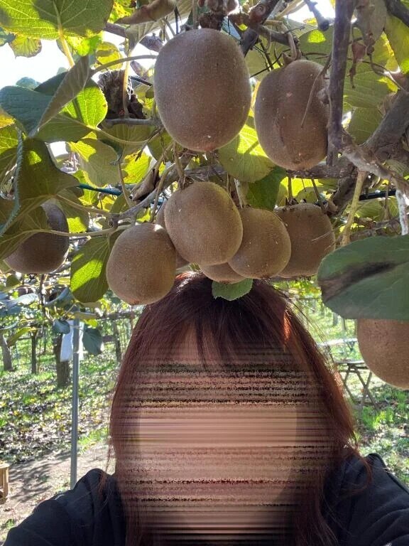 マイガール登録