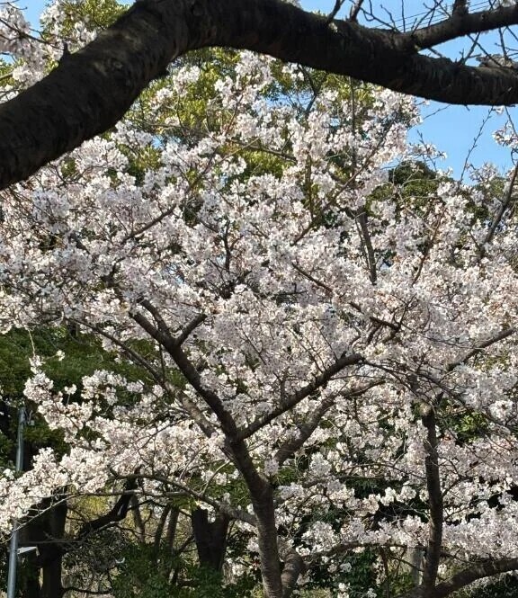 おはようございます