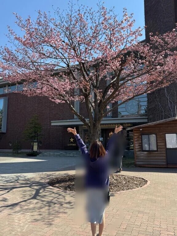 お久しぶりの出勤です(❁´ω`❁)